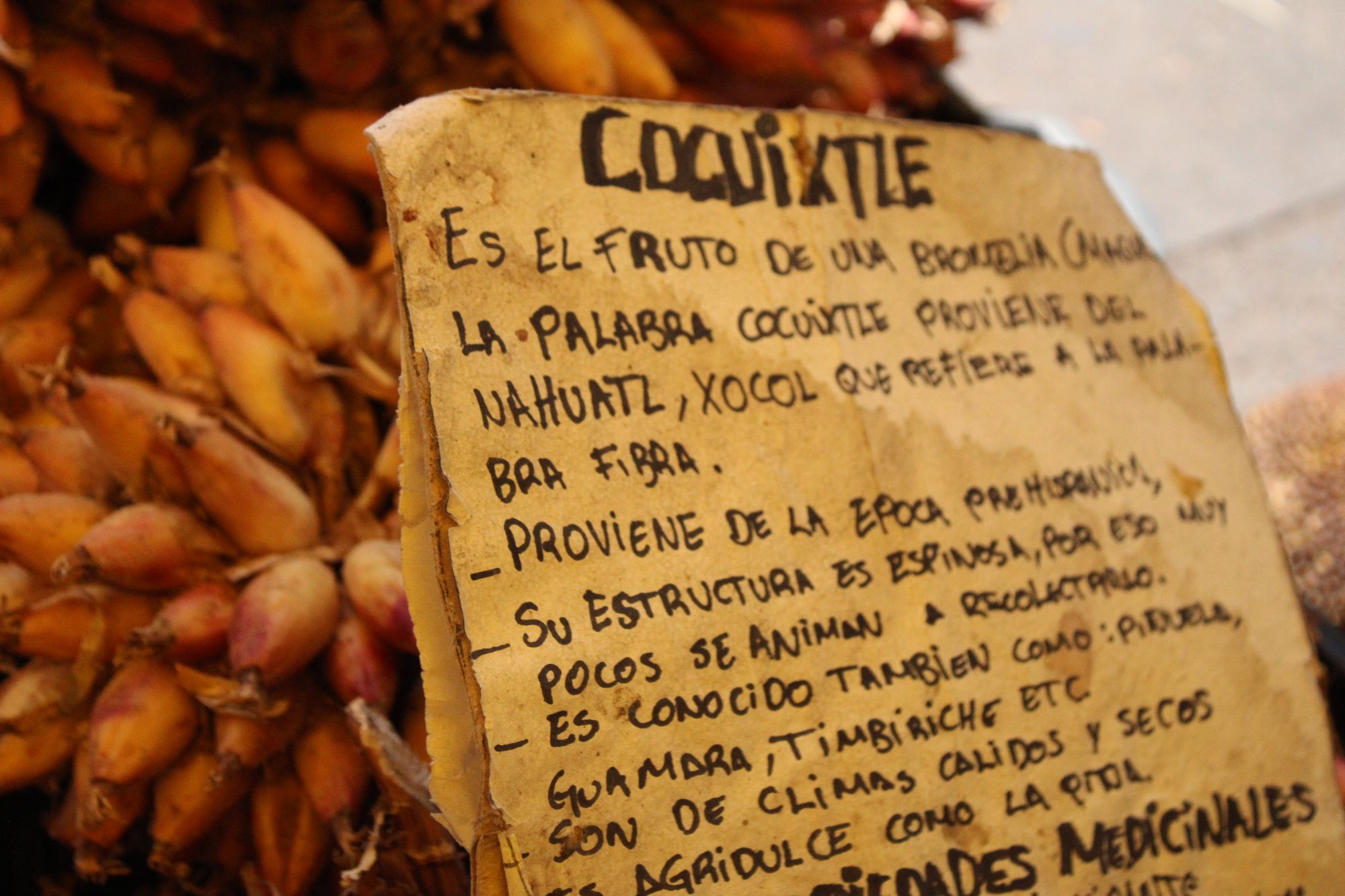 Close-up of the handwritten coquixtle sign